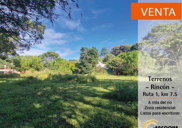 Terrenos zona Rincon