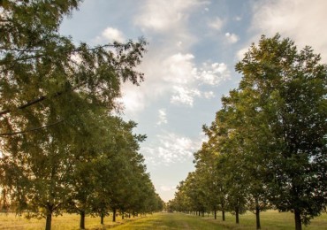 Lotes en Estancia San Jose